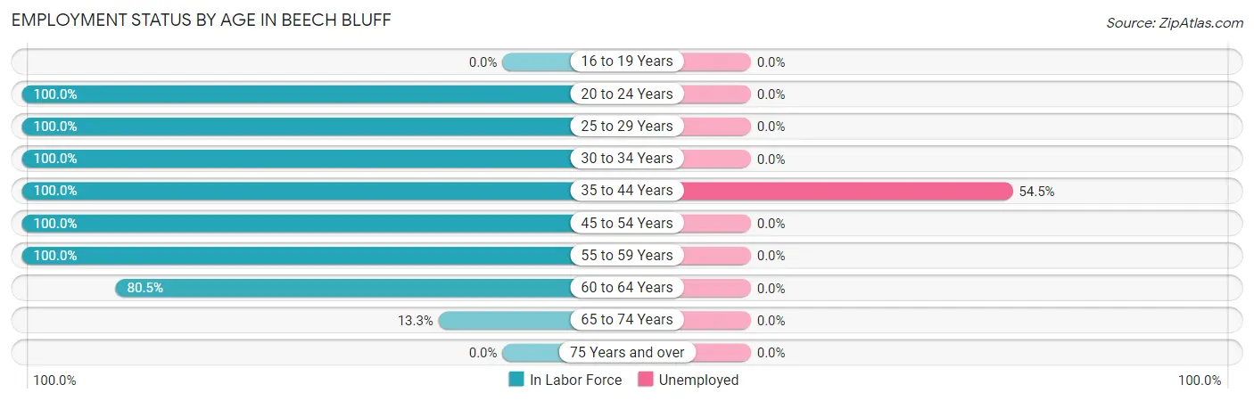 Employment Status by Age in Beech Bluff