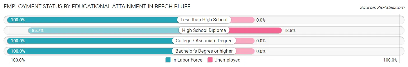 Employment Status by Educational Attainment in Beech Bluff