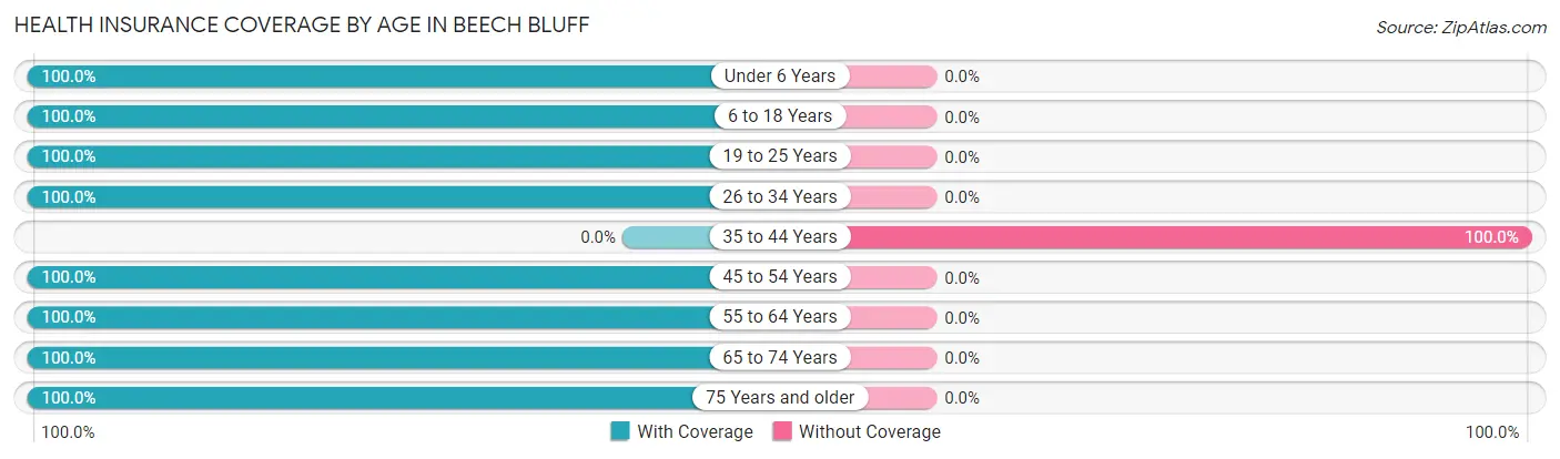 Health Insurance Coverage by Age in Beech Bluff