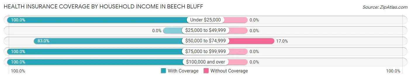 Health Insurance Coverage by Household Income in Beech Bluff