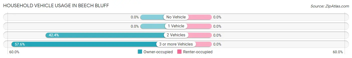 Household Vehicle Usage in Beech Bluff