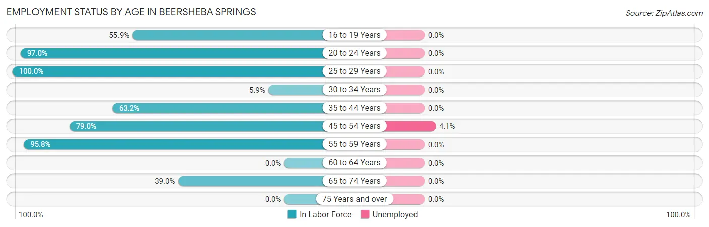 Employment Status by Age in Beersheba Springs