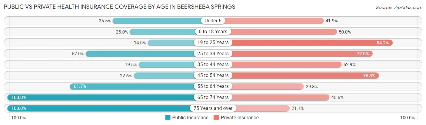 Public vs Private Health Insurance Coverage by Age in Beersheba Springs