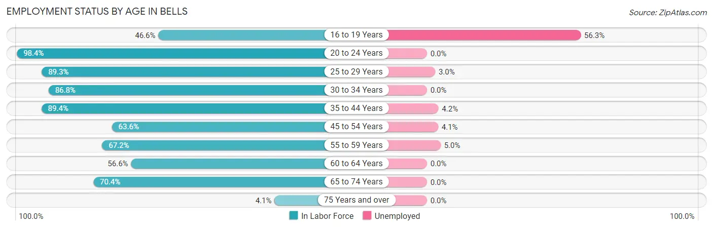 Employment Status by Age in Bells