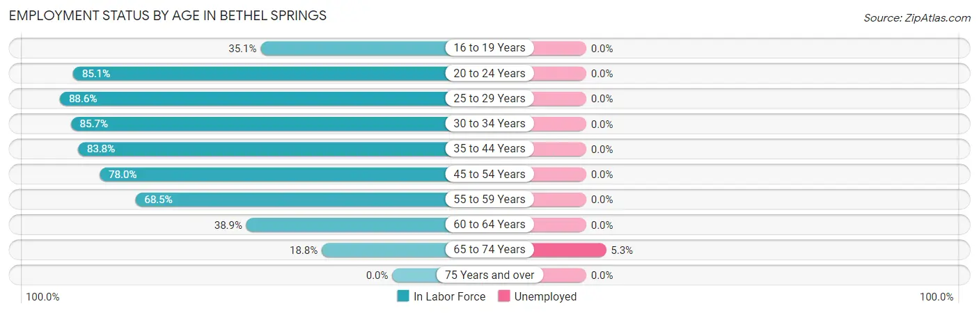 Employment Status by Age in Bethel Springs