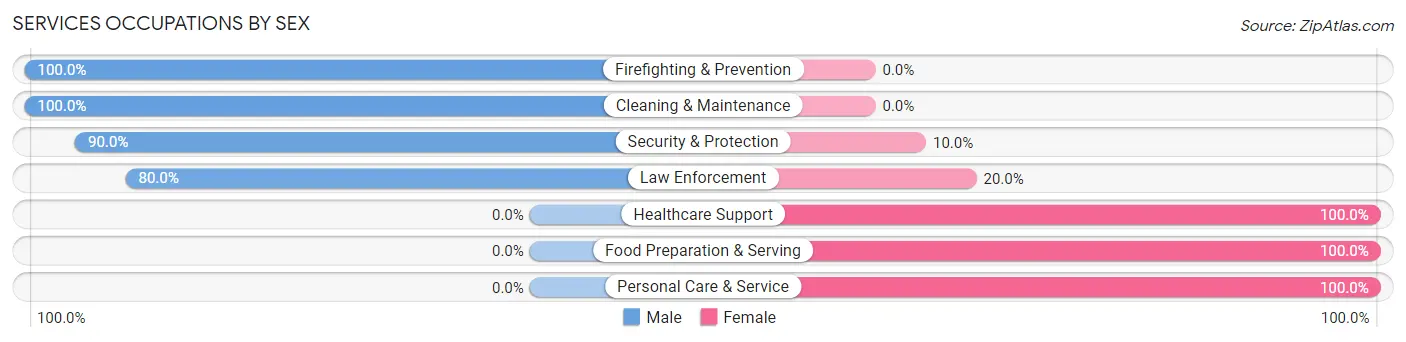 Services Occupations by Sex in Bethel Springs