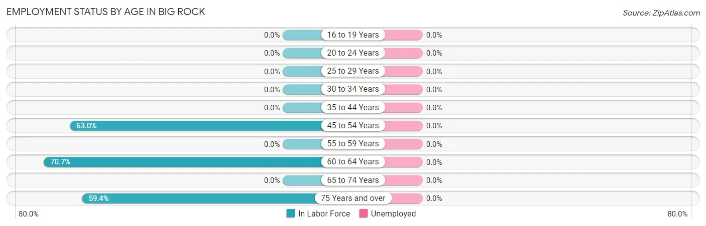 Employment Status by Age in Big Rock