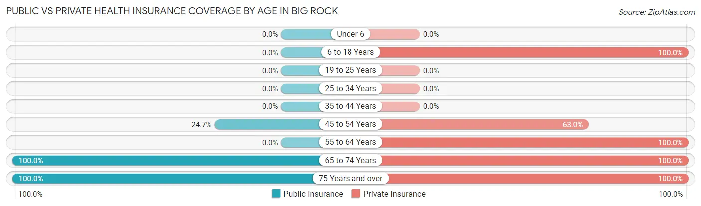 Public vs Private Health Insurance Coverage by Age in Big Rock
