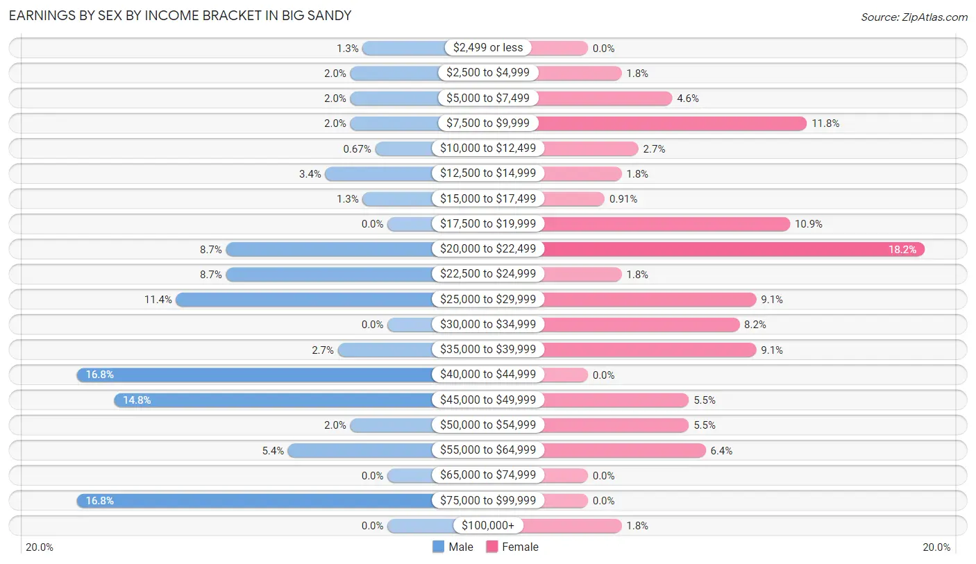 Earnings by Sex by Income Bracket in Big Sandy