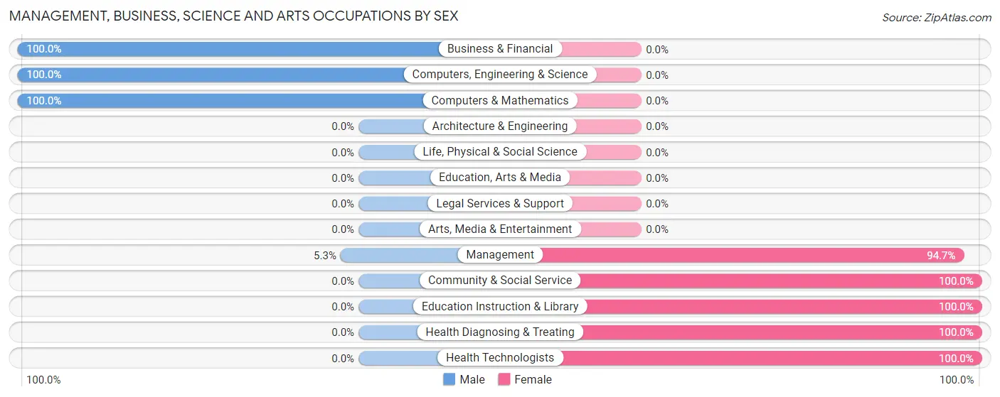 Management, Business, Science and Arts Occupations by Sex in Big Sandy