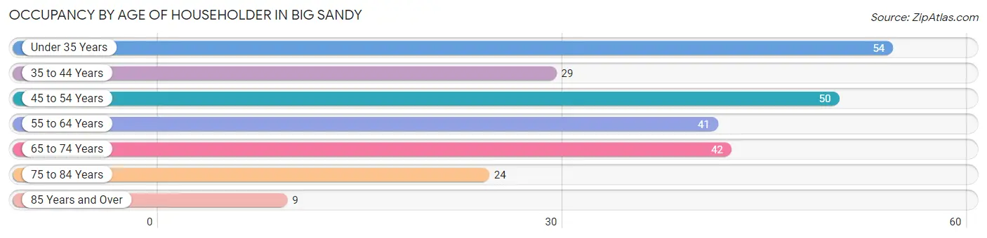 Occupancy by Age of Householder in Big Sandy