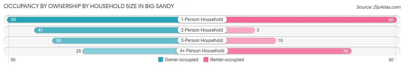 Occupancy by Ownership by Household Size in Big Sandy