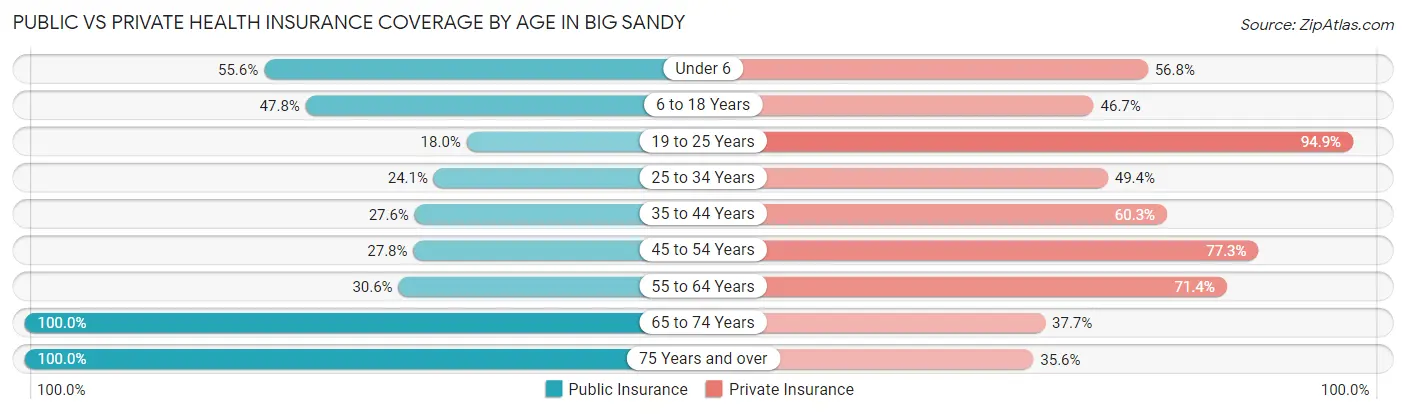 Public vs Private Health Insurance Coverage by Age in Big Sandy