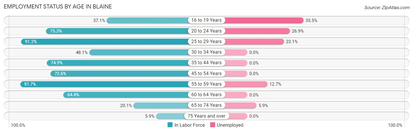 Employment Status by Age in Blaine