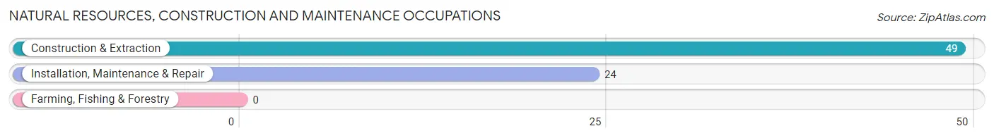 Natural Resources, Construction and Maintenance Occupations in Blaine