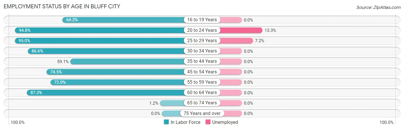 Employment Status by Age in Bluff City