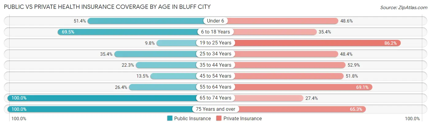 Public vs Private Health Insurance Coverage by Age in Bluff City
