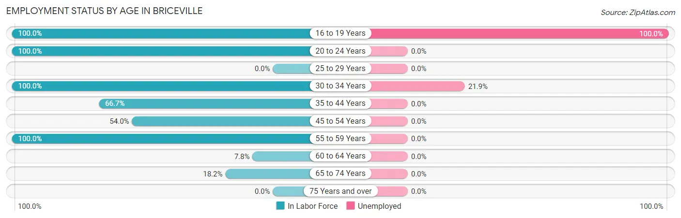 Employment Status by Age in Briceville