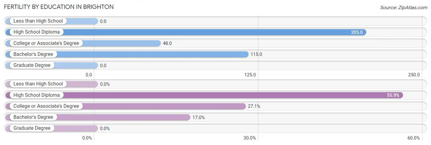 Female Fertility by Education Attainment in Brighton