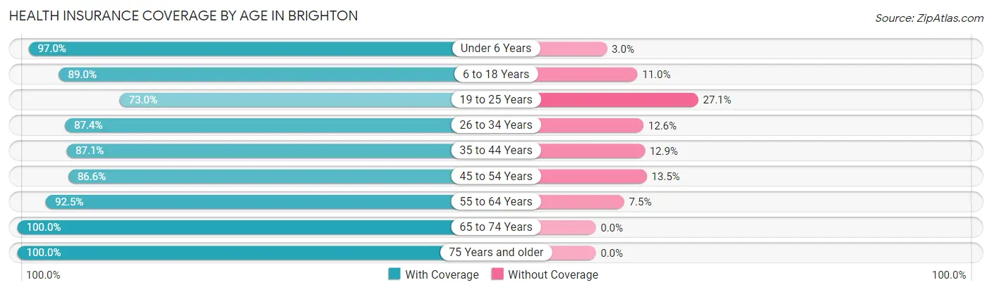 Health Insurance Coverage by Age in Brighton