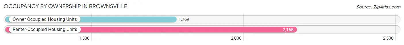 Occupancy by Ownership in Brownsville