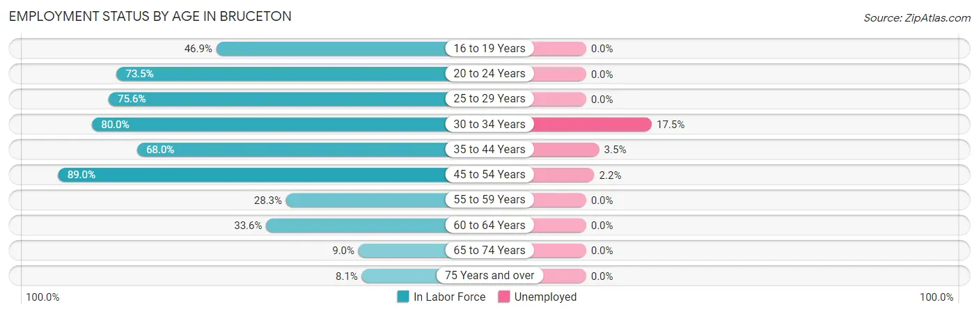 Employment Status by Age in Bruceton