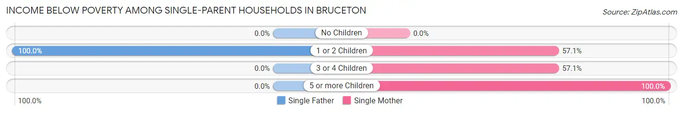 Income Below Poverty Among Single-Parent Households in Bruceton