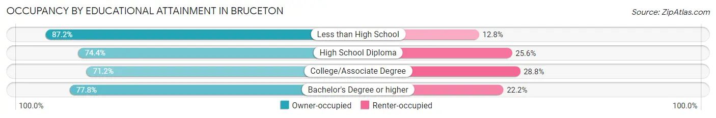Occupancy by Educational Attainment in Bruceton
