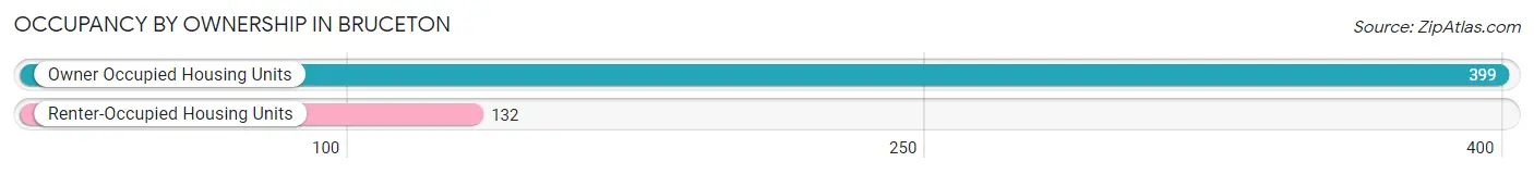 Occupancy by Ownership in Bruceton
