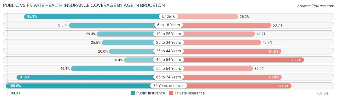 Public vs Private Health Insurance Coverage by Age in Bruceton