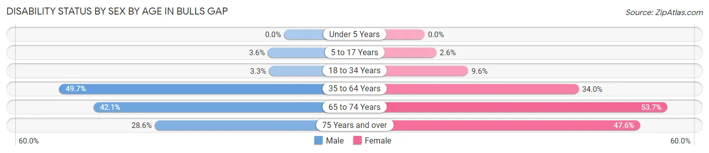 Disability Status by Sex by Age in Bulls Gap