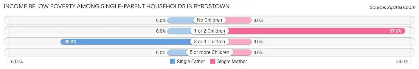 Income Below Poverty Among Single-Parent Households in Byrdstown