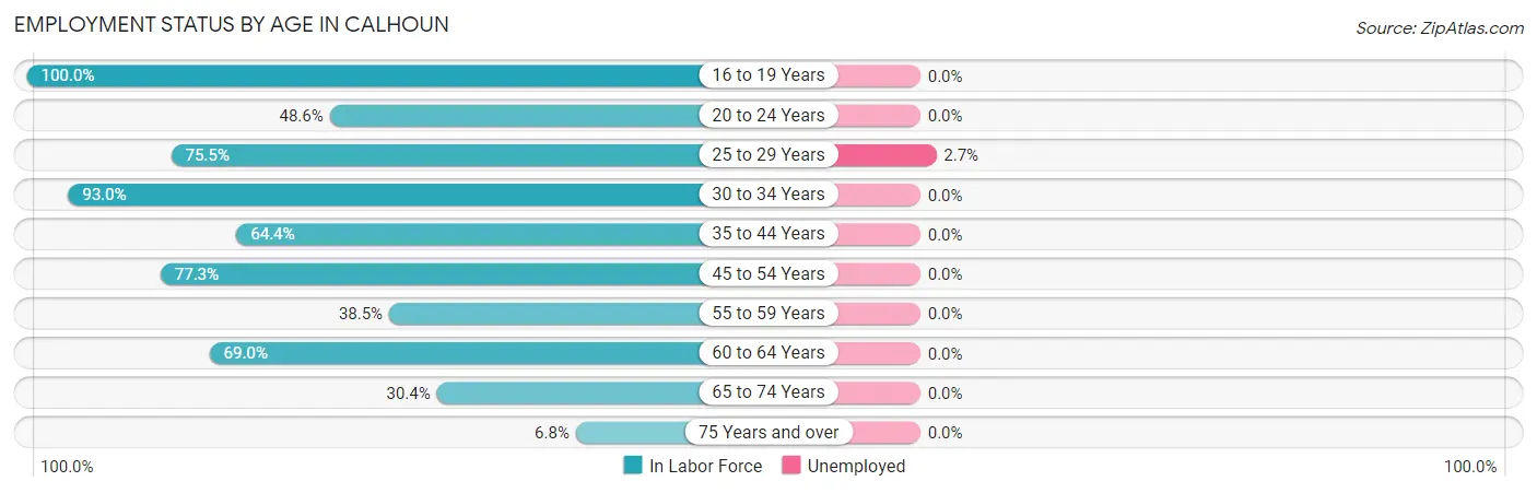 Employment Status by Age in Calhoun