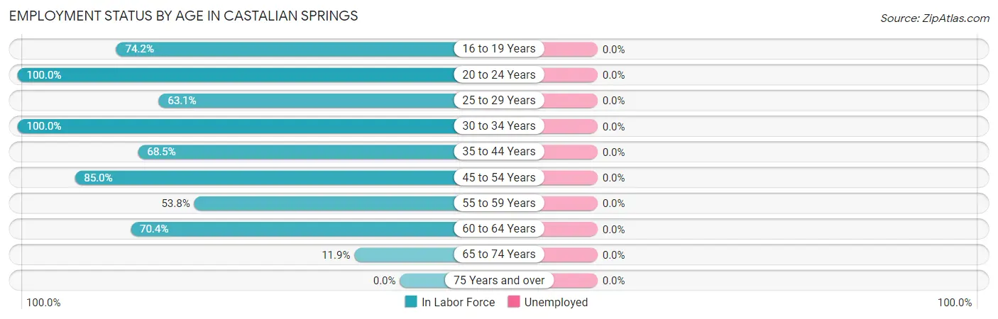 Employment Status by Age in Castalian Springs