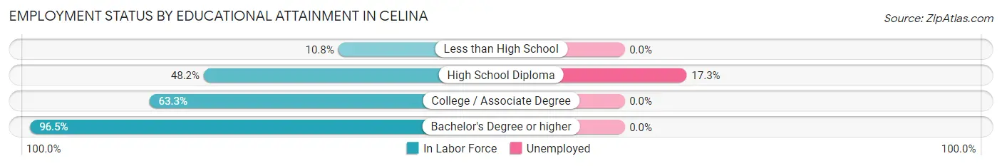Employment Status by Educational Attainment in Celina