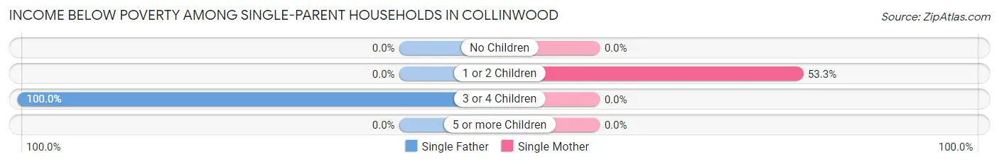 Income Below Poverty Among Single-Parent Households in Collinwood