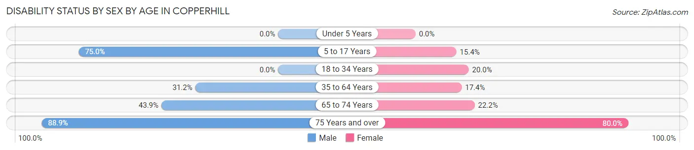 Disability Status by Sex by Age in Copperhill
