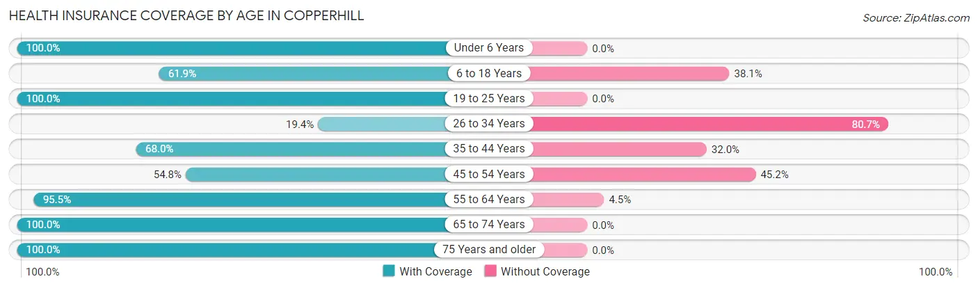 Health Insurance Coverage by Age in Copperhill