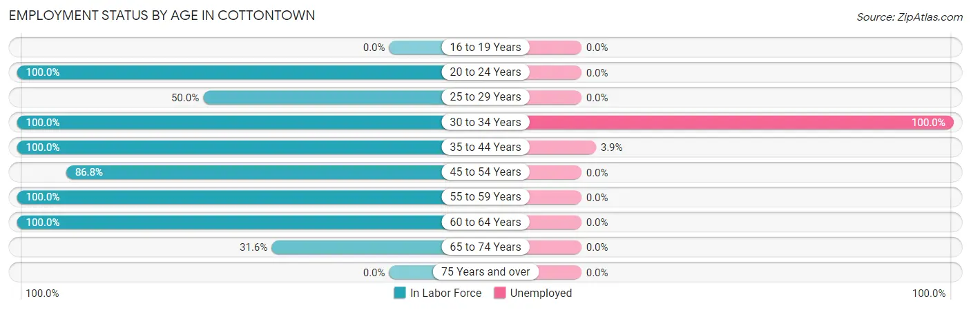 Employment Status by Age in Cottontown