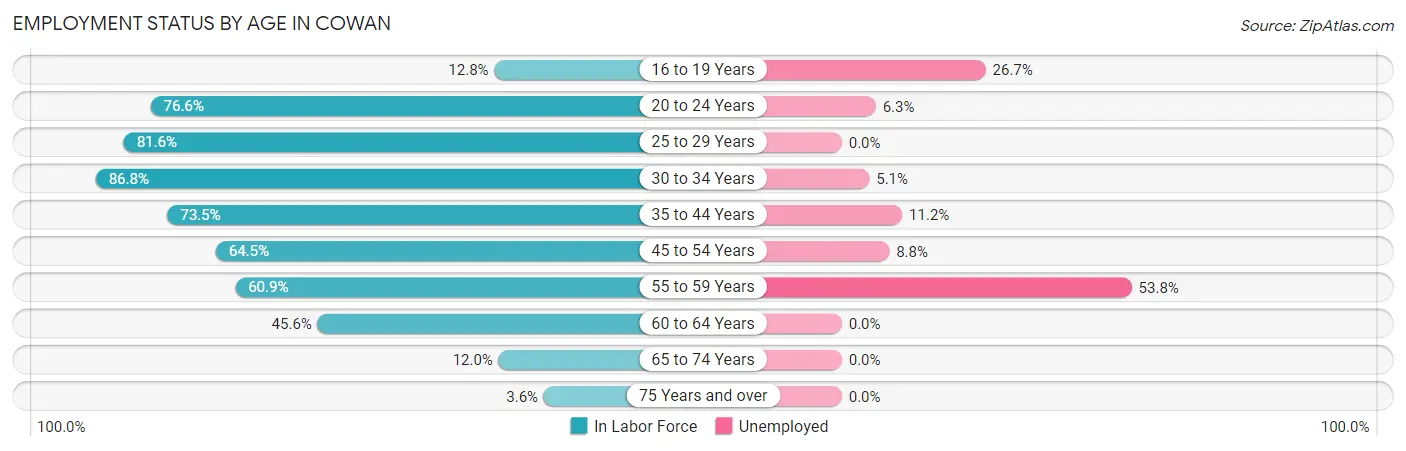 Employment Status by Age in Cowan