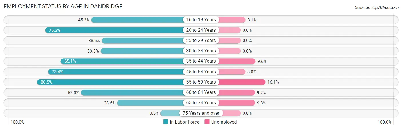 Employment Status by Age in Dandridge