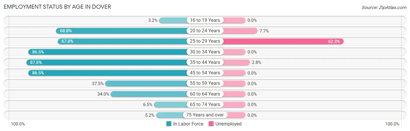 Employment Status by Age in Dover