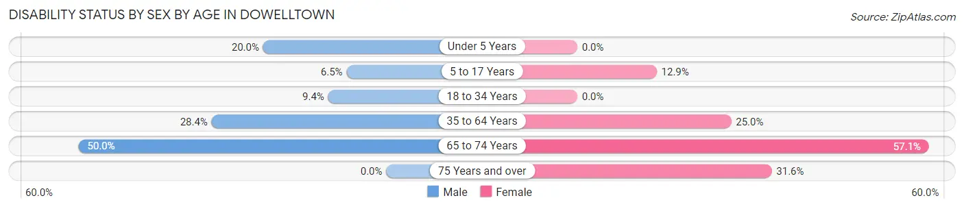 Disability Status by Sex by Age in Dowelltown