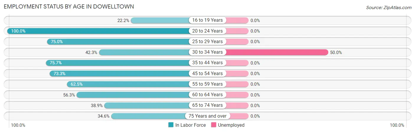 Employment Status by Age in Dowelltown