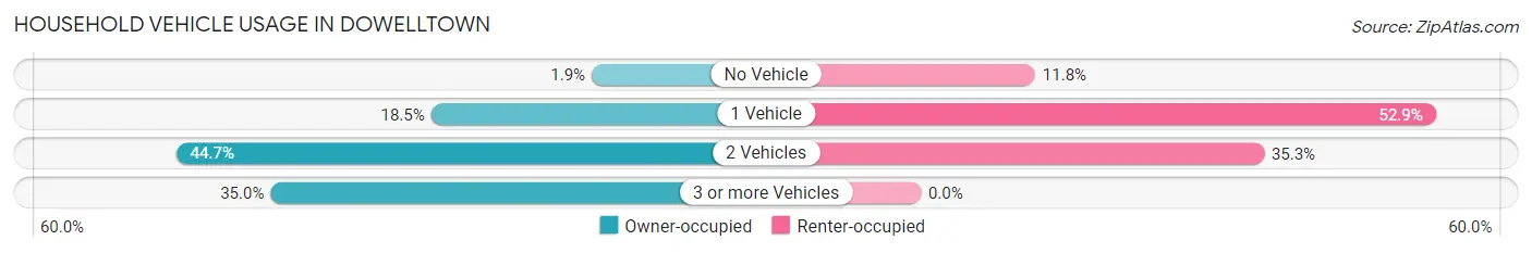 Household Vehicle Usage in Dowelltown