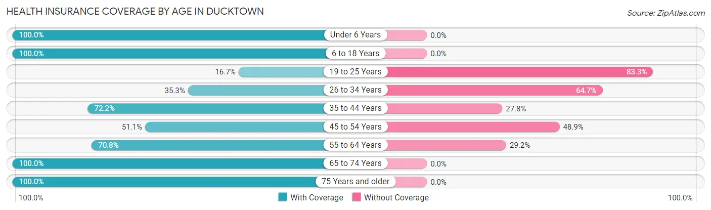 Health Insurance Coverage by Age in Ducktown