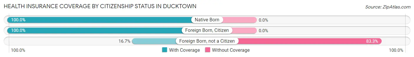 Health Insurance Coverage by Citizenship Status in Ducktown
