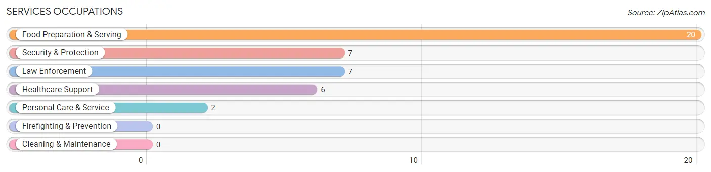 Services Occupations in Ducktown