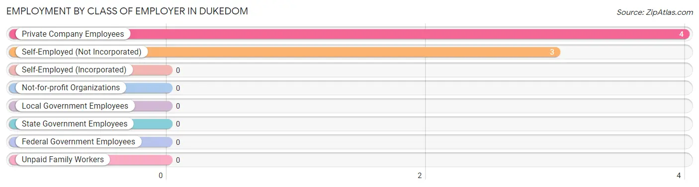 Employment by Class of Employer in Dukedom