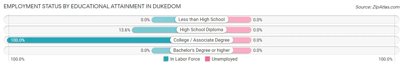 Employment Status by Educational Attainment in Dukedom